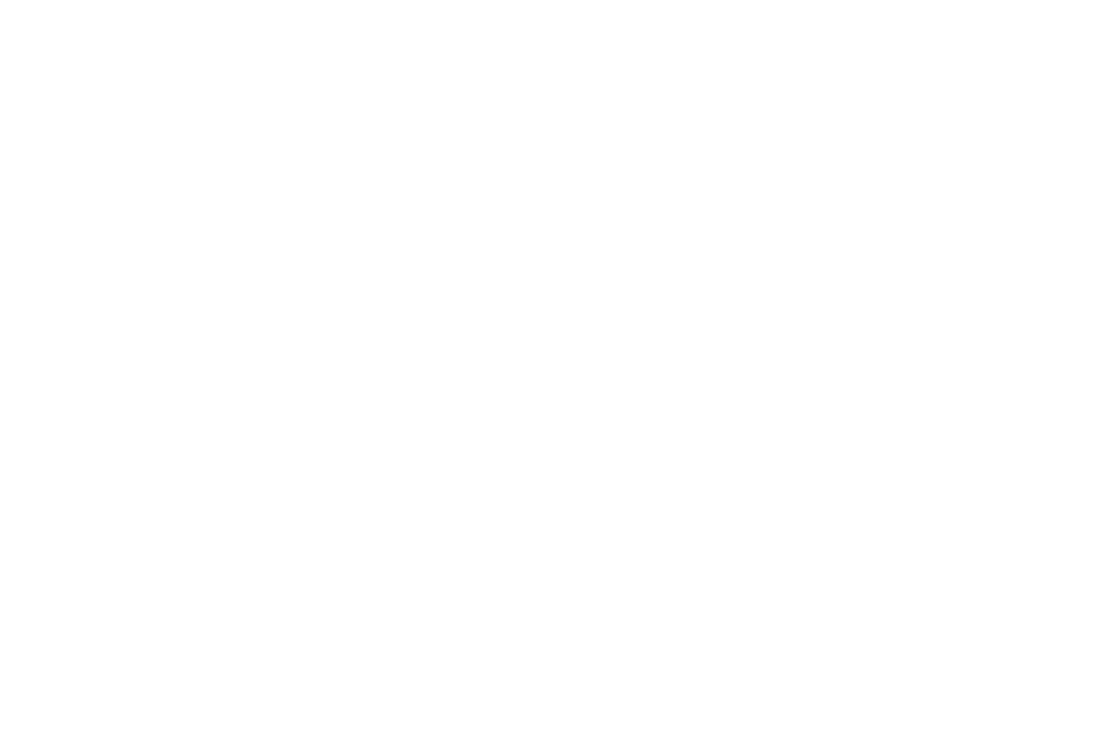 Pakistan Diaspora Logo